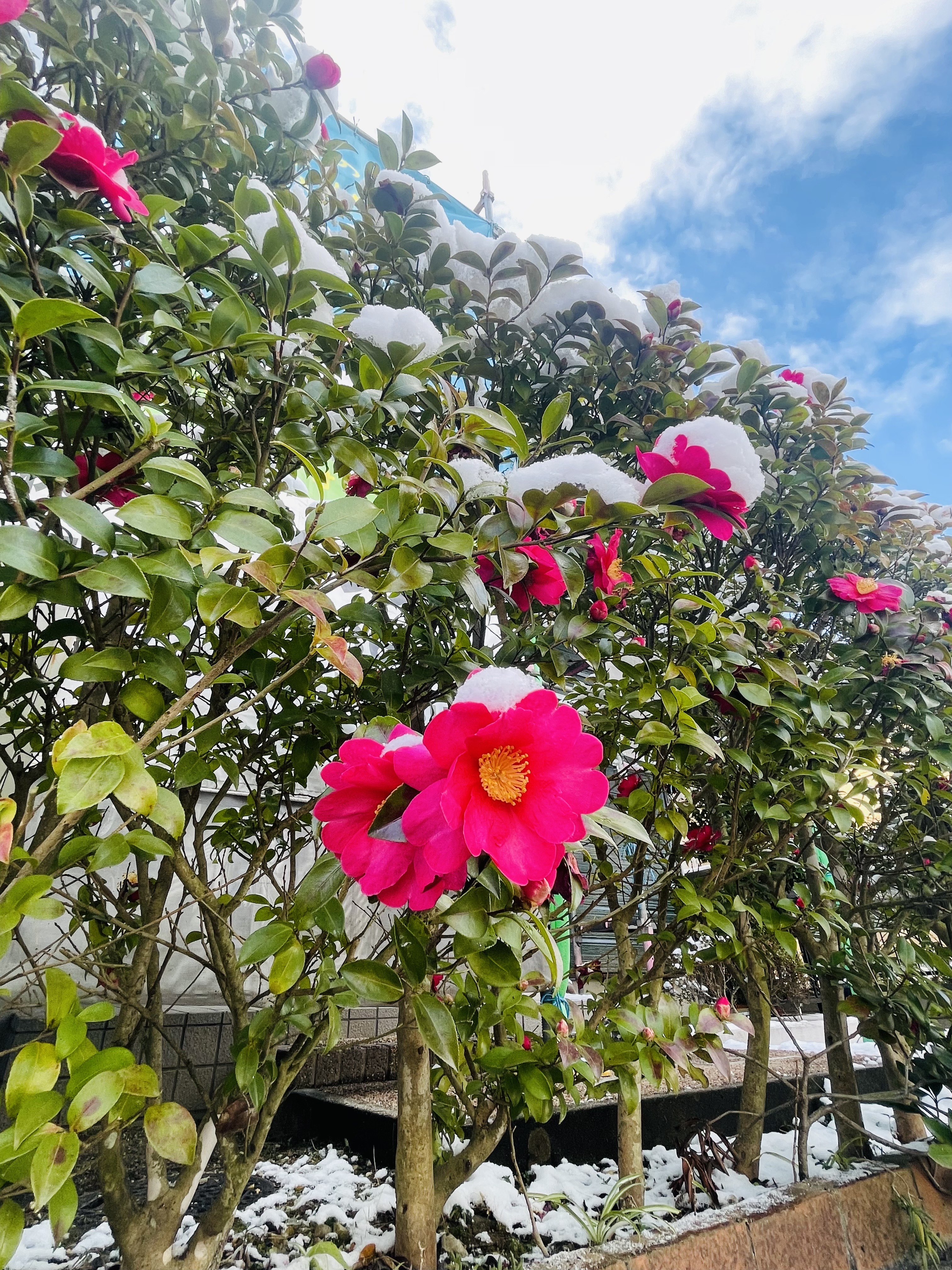 稲生アパート塗装工事始まりました！