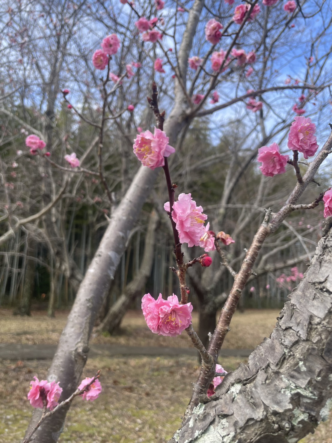 I様邸　浴室・脱衣場リフォーム工事　完成...